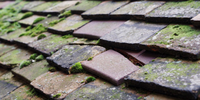 Thatcham roof repair costs